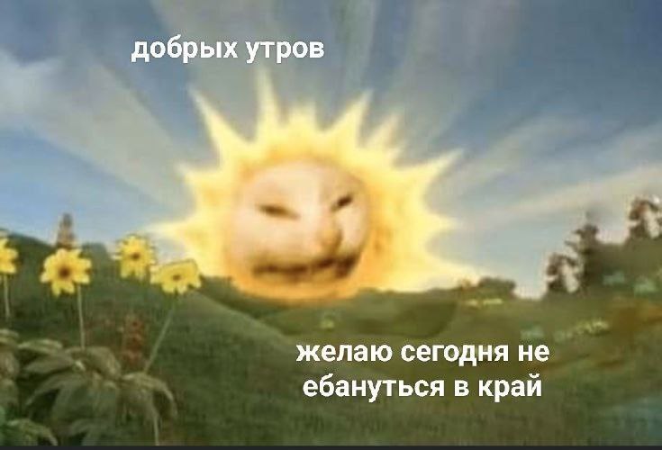 kXIQ7U7OC8nsGnC's tweet image. 