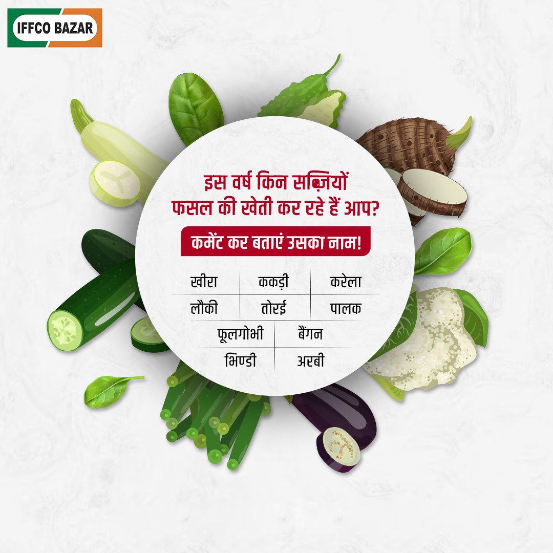 IFFCOBAZAR's tweet image. इस वर्ष किन सब्जियों, फसल की खेती कर रहे है आप ? कमेंट बॉक्स में उत्तर दें बताएं उसका नाम। आपके उत्तरानुसार हमारे कृषि विशेषज्ञ देंगे सब्ज़ियों की बुवाई से सम्बंधित कुछ विशेष सुझाव।
#IFFCOBAZAR   #AnswerTheQuestion