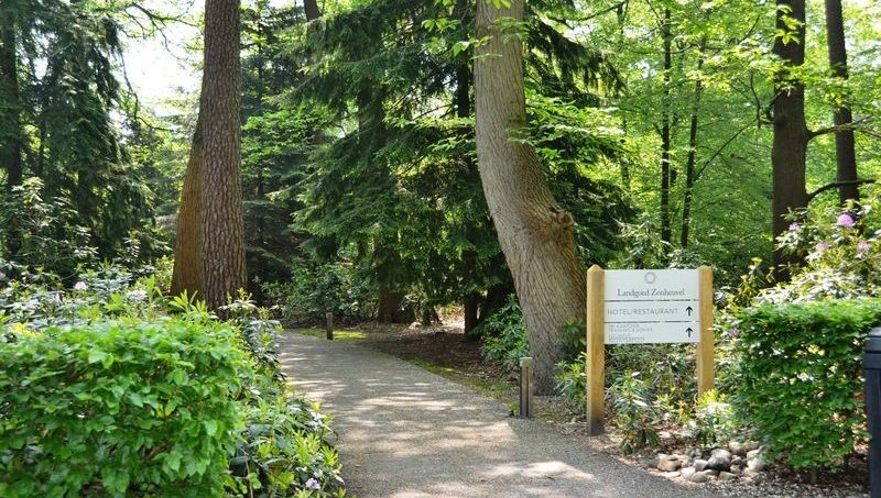 Landgoed Zonheuvel biedt een ideale locatie voor vergaderingen en trainingen, midden in de prachtige natuur van de Utrechtse Heuvelrug. Onze vergaderzalen zijn uitgerust met alle benodigdheden voor uw vergadering, voor zowel kleine als grote groepen.

l8r.it/I53a