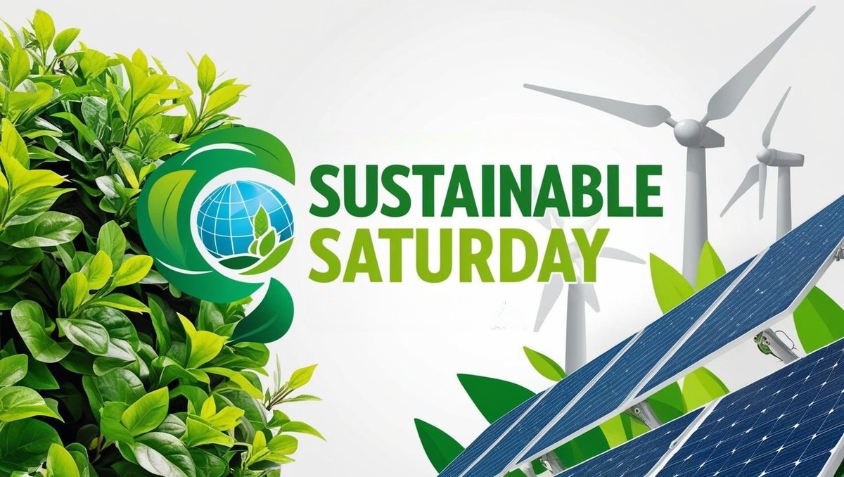 getMYMC's tweet image. SustainableSaturday: Small offices aren’t “too small” for eco-impact. Skipping synergy-based disposal &amp;amp; recycling leads to meltdown guilt. MYMC ensures no corner is ignored. Learn how: getmymc.com/social #SmallOffice #EcoFriendly #MYMC #Synergy