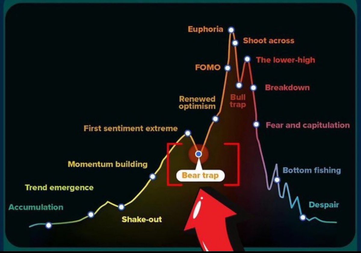 Luca Valori tweet media