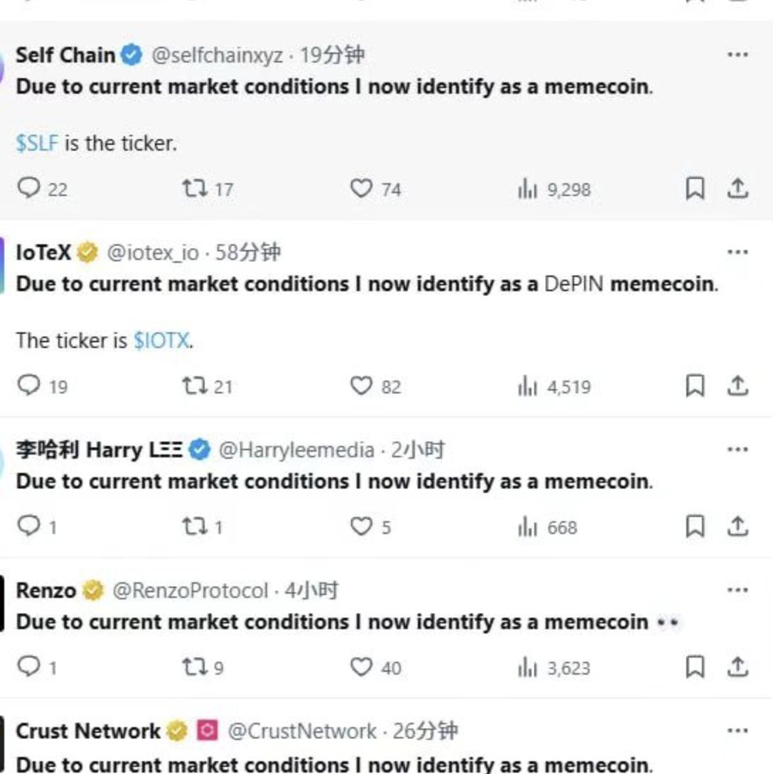 以下是一个月前的一篇文，当时在bid kaito的nft就一直捂着没发。

一个月前看了 <a href="/0xAlexon/">Alexon.eth</a>  老师的长文有点唏嘘，因为类似  @_kaitoai 的产品形态在22年也做过，只不过新韭菜刚入圈，人脉&amp;资金积累不足，小作坊的开发速度和资金没有跟上，现在看到kaito的成功也算是给自己当时认知的正反馈。