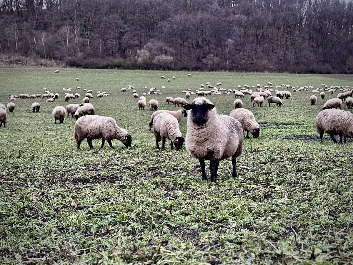 Gesprächspartner am Wegesrand beim Morgenspaziergang.