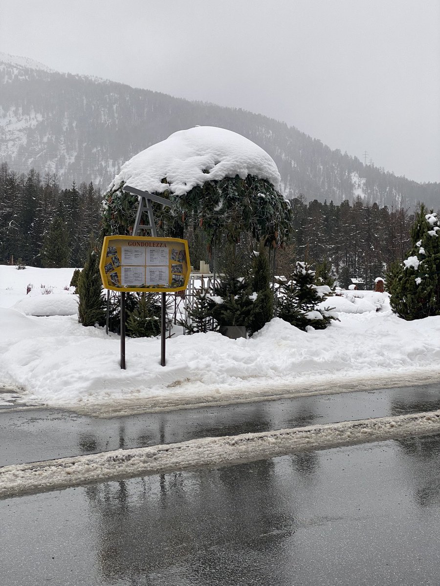 Guten Morgen Zusammen. 
Da ist es richtig Winter. So schön. Schönen Tag. 🌺🙋🏻‍♀️