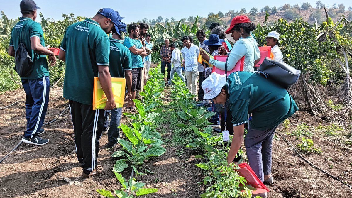 Andhra Pradesh Community-managed Natural Farming tweet media