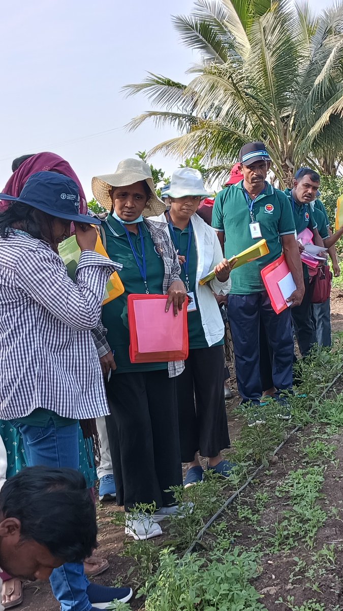 Andhra Pradesh Community-managed Natural Farming tweet media