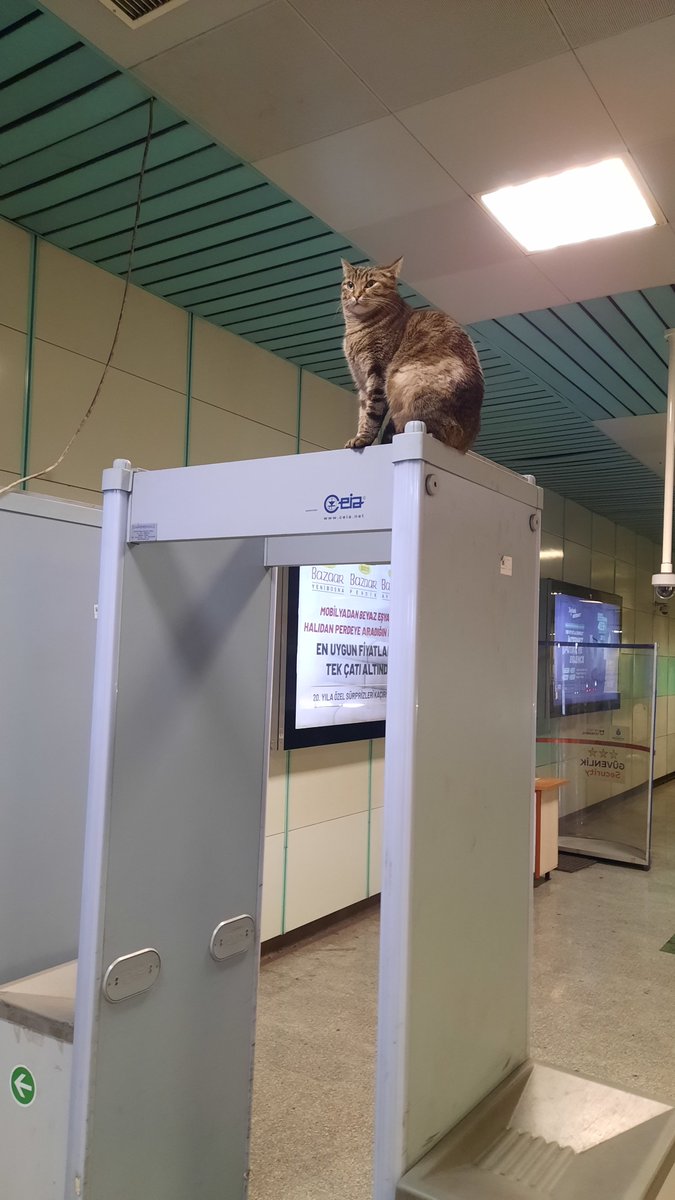 Only in Türkiye 🇹🇷