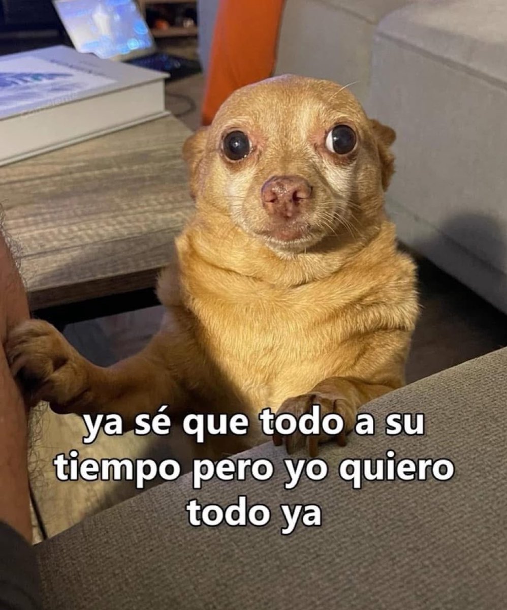 skereunpesado's tweet photo. https://t.co/7AZdgBWLbb