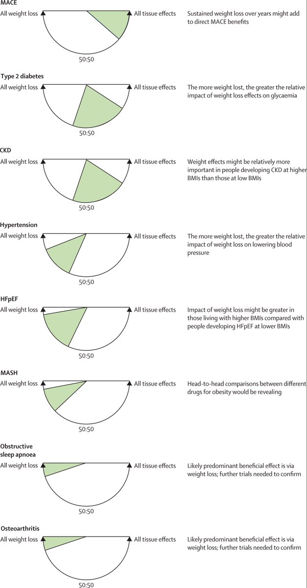 Matthew MY Lee (@matthewmylee) on Twitter photo ⚖️Direct tissue vs wt loss effects—both matter, but how much?🤔
💉#GLP1RA in #Obesity & chronic conditions:
🩸#T2DM📈#HTN🏥#MACE❤️#HFpEF
🫘#CKD⚠️#MASH💤#OSA🦴#OA
🔗 doi.org/10.1016/S2213-…
Grateful to Naveed Sattar🙏
#CardioTwitter <a href="/TheLancetEndo/">The Lancet Diabetes & Endocrinology</a> <a href="/MetaMedTeam/">Metabolic Medicine</a> <a href="/UofGSCMH/">UofG SCMH</a> <a href="/UofGMVLS/">UofG MVLS</a> ⚖️Direct tissue vs wt loss effects—both matter, but how much?🤔
💉#GLP1RA in #Obesity & chronic conditions:
🩸#T2DM📈#HTN🏥#MACE❤️#HFpEF
🫘#CKD⚠️#MASH💤#OSA🦴#OA
🔗 doi.org/10.1016/S2213-…
Grateful to Naveed Sattar🙏
#CardioTwitter <a href="/TheLancetEndo/">The Lancet Diabetes & Endocrinology</a> <a href="/MetaMedTeam/">Metabolic Medicine</a> <a href="/UofGSCMH/">UofG SCMH</a> <a href="/UofGMVLS/">UofG MVLS</a>