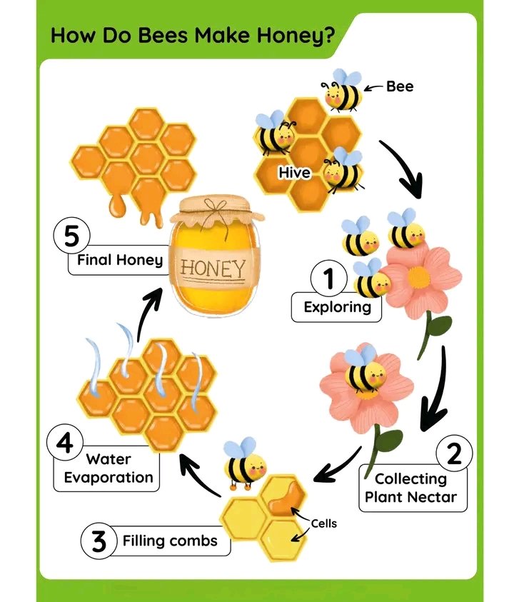 MrBees17's tweet photo. Take a look and learn.
Good morning https://t.co/BFpfMqRNQc