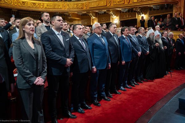 Ðetić tweet media