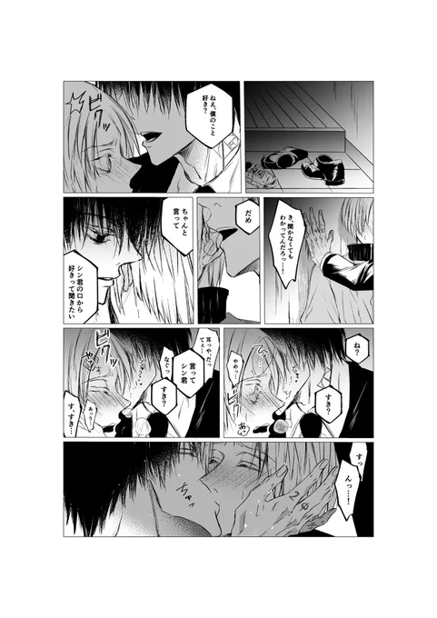 ナグシン

両思い発覚後のふたり1と2(再掲) 