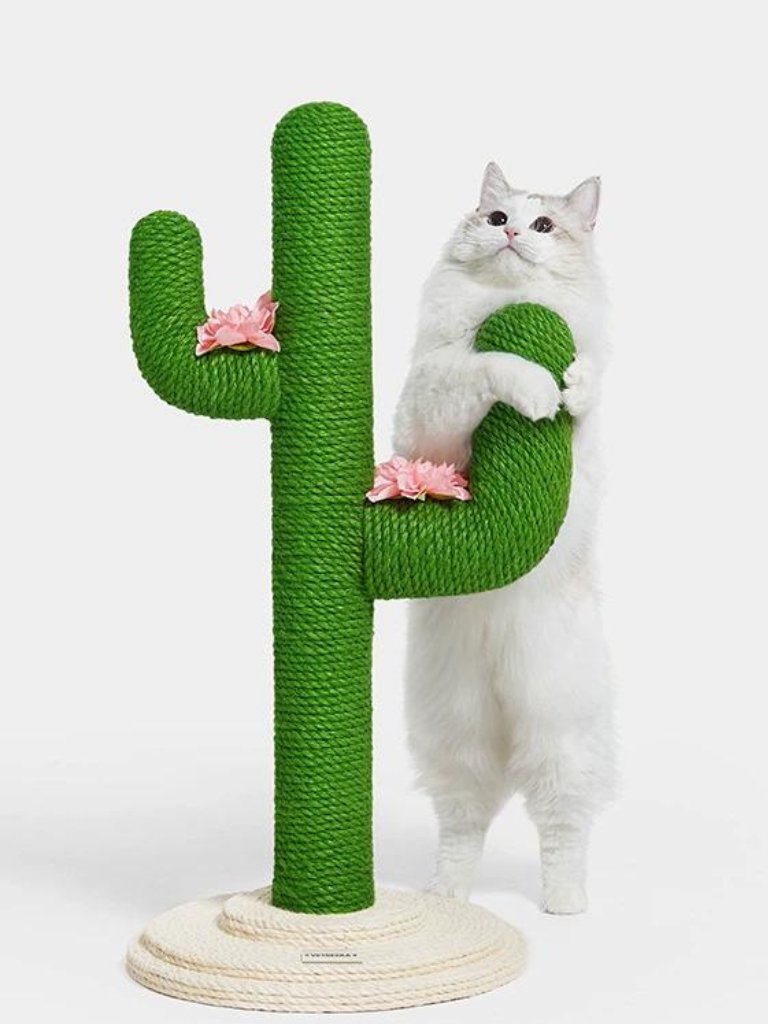 mofucat_media's tweet photo. 🐈mofucat プレゼントキャンペーン🐈

爪とぎコレクションからお好きなアイテム1点プレゼント🎁
【https://t.co/UZvH82EwUx】

　 ▼参加条件▼
☑️@mofucat_mediaをフォロー
☑️このツイートをRT
☑️欲しいアイテムをコメントor引用RTで当選確率UP

🐾締め切り🐾
　   〜3月1日 https://t.co/YyEkJOoKBj