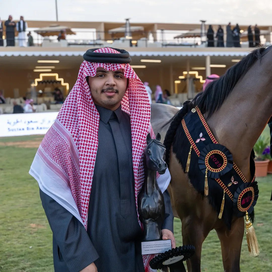 مربط أجمل للخيل العربية tweet media