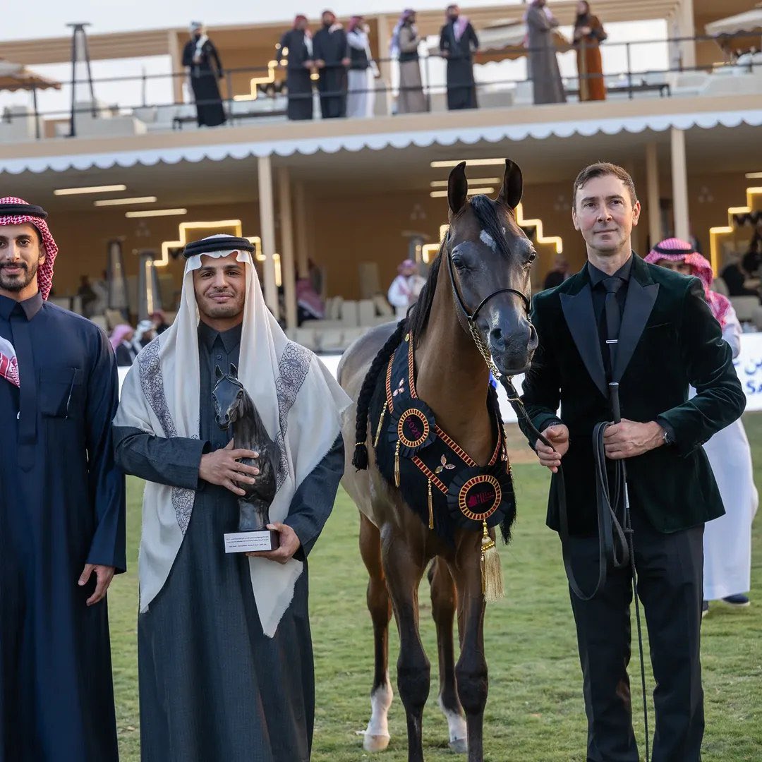 مربط أجمل للخيل العربية tweet media