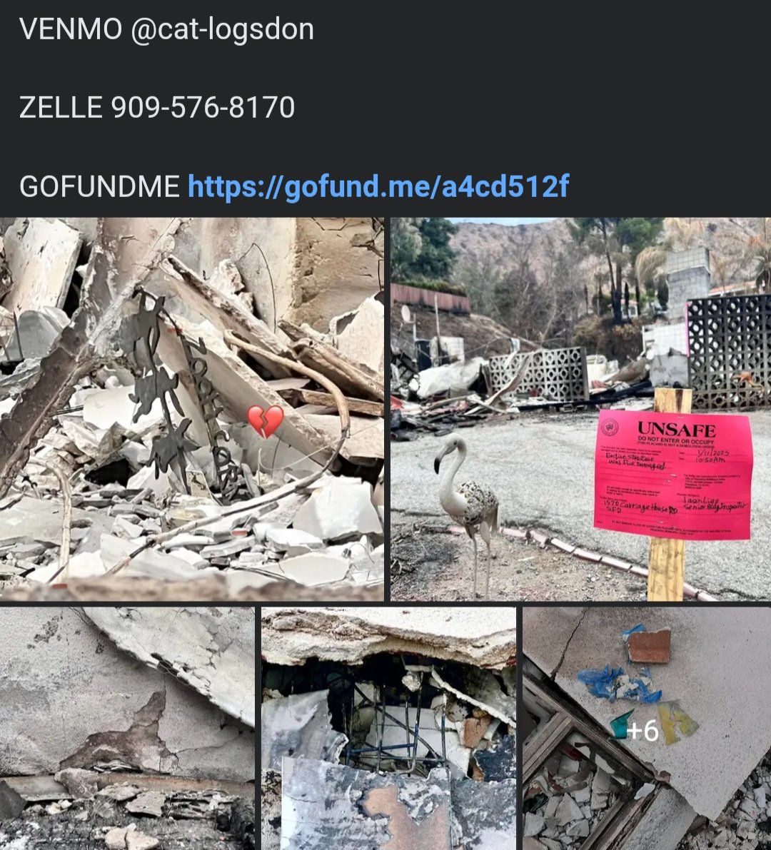 moatybuns's tweet image. ❤️‍🩹🐇 An update/reminder about Zooh Corner 🐇❤️‍🩹

I'm hoping we can help reach their GoFundMe goal - or even exceed it!! They are not expecting much from FEMA &amp;amp; are worried about finding a new home for them &amp;amp; the bunnies.

Please donate &amp;amp; share - links in quote tweet 👇