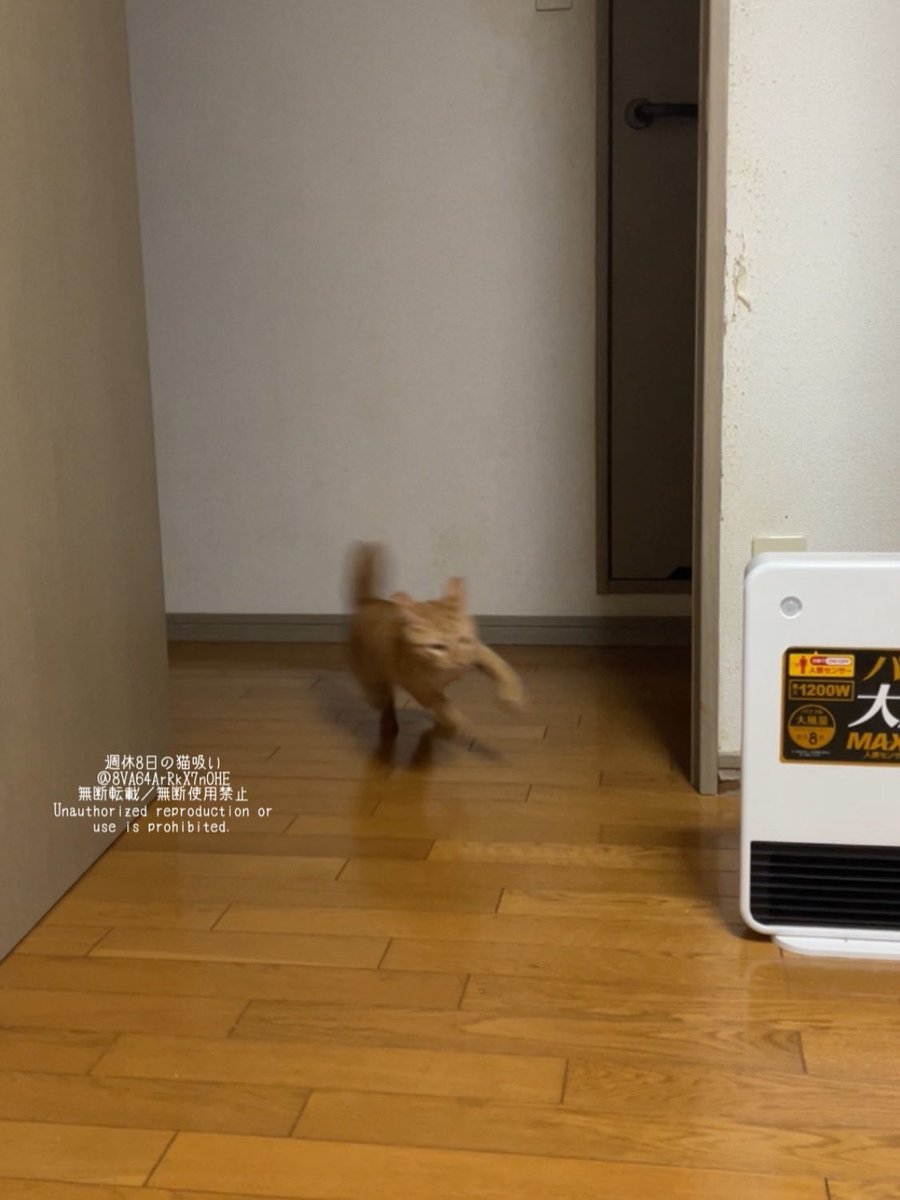 走るスピードも早くなったね
