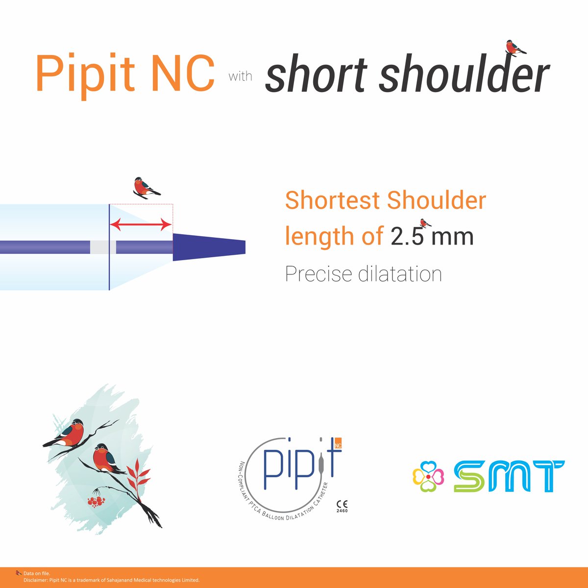 Pipit NC – Innovation with Purpose

At SMT, every innovation is designed with the patient in mind, and Pipit NC is no exception.

#InnovationForLife #PipitNC #CathLabAdvancements #SMT