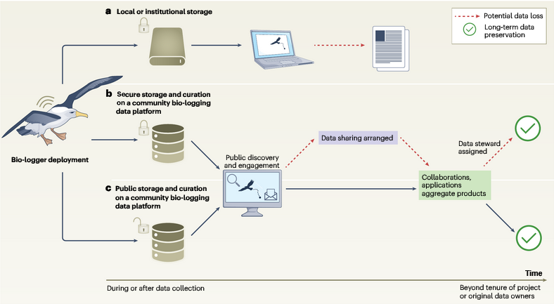 LifewatchBE's tweet image. 📢Discover the importance of data systems for archiving bio-logging data."Rapid Growth in Bio-logging" explores how effective data management can combat biodiversity threats. Great contribution of colleague @peterdesmet
👉shorturl.at/gIqNf
@INBOVlaanderen @AquaticTracking
