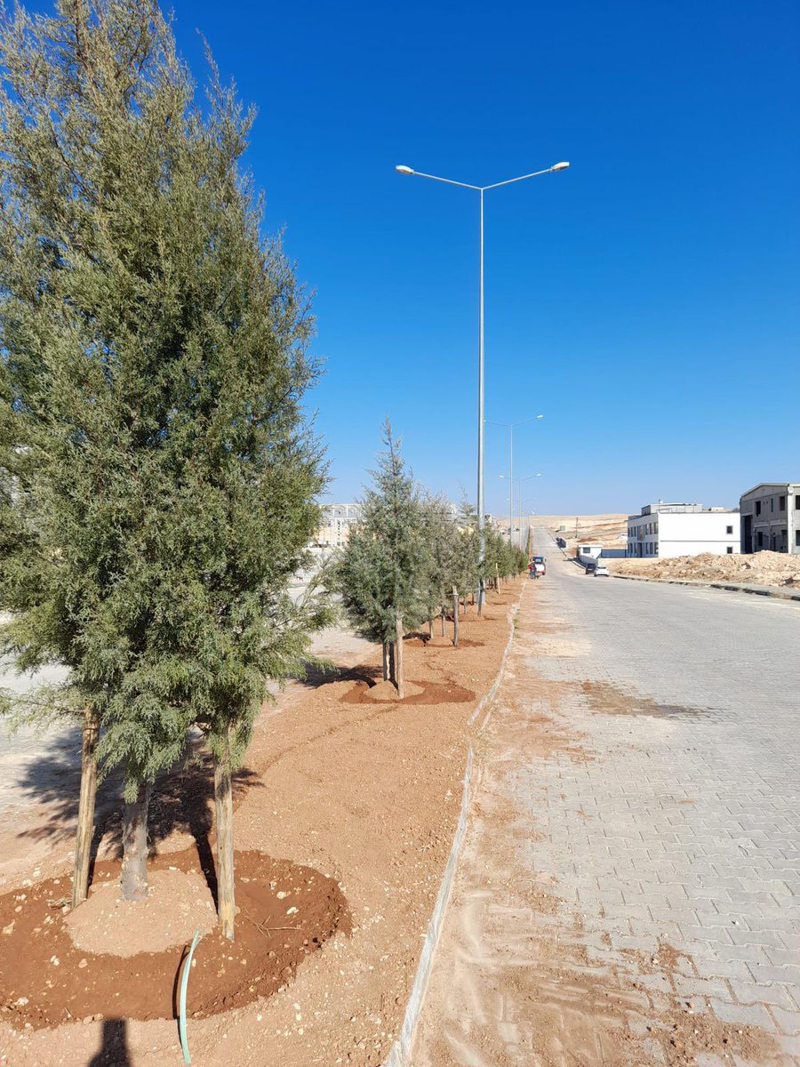 Mardin 2.OSB tweet media