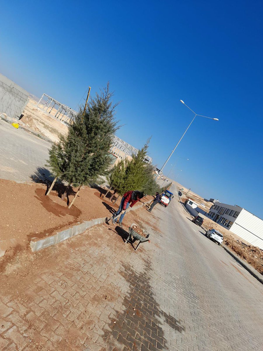 Mardin 2.OSB tweet media