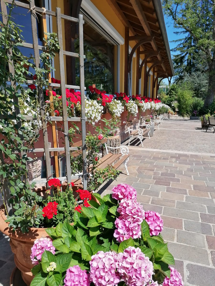 Sogniamo tutti giardini incantati al di là dell’orizzonte, invece di goderci la vista delle aiuole in fiore sotto le nostre finestre.

🖊️Orazio
📸 by Lisa 

#MiscuglioDiEmozioni