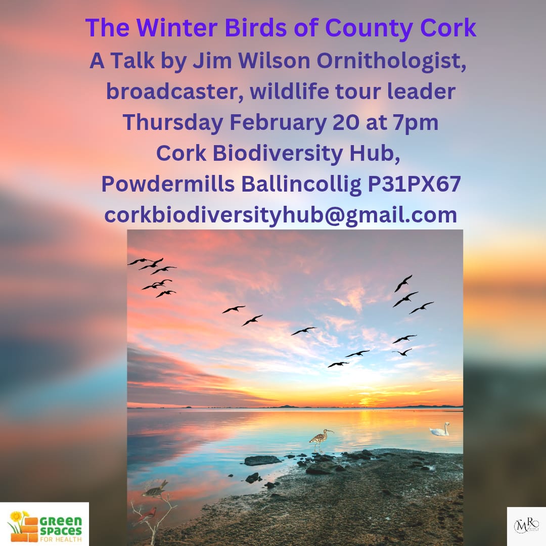 Green Spaces For Health (@greenspacescork) on Twitter photo Join Jim Wilson for a talk on Winter Birds. Thursday February 20 at 7pm, Cork Biodiversity Hub, P31PX67 next to Regional Park
Now is the time to dust down the binoculars and get viewing.
Drop us an email to book a spot, free.
<a href="/CorkHealthyCity/">Cork Healthy Cities</a> <a href="/RosemarieMcDo17/">Rosemarie McDonald</a> <a href="/SHEP_Ireland/">Social&HealthEdProj.</a> Join Jim Wilson for a talk on Winter Birds. Thursday February 20 at 7pm, Cork Biodiversity Hub, P31PX67 next to Regional Park
Now is the time to dust down the binoculars and get viewing.
Drop us an email to book a spot, free.
<a href="/CorkHealthyCity/">Cork Healthy Cities</a> <a href="/RosemarieMcDo17/">Rosemarie McDonald</a> <a href="/SHEP_Ireland/">Social&HealthEdProj.</a>