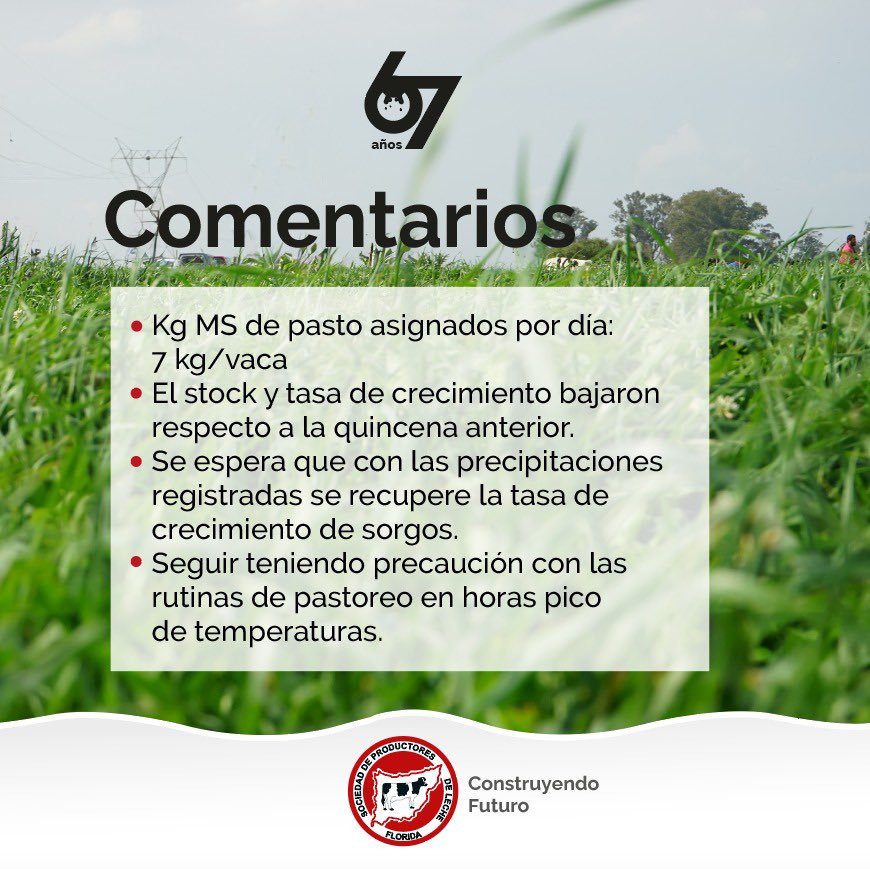 _splf's tweet photo. Info #planverde
Gestión del pasto 🌱
🗓️ 11/01 al 25/01
#splf #servicios #planverde #propasto https://t.co/8TtwPQADkl