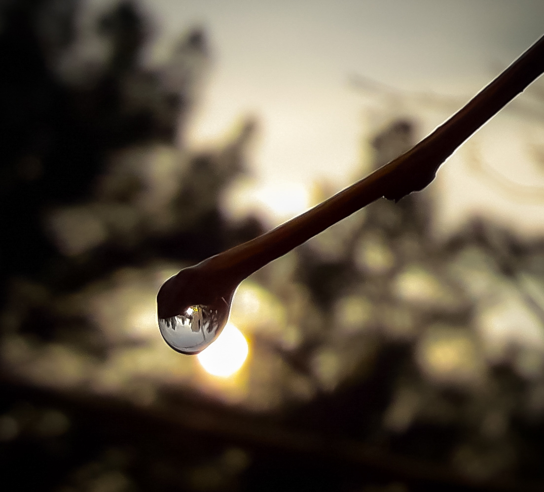 MiPix_NFT's tweet photo. 🔵Happy #TEZOSTUESDAY
Drop of light
1 #tezos
Link : https://t.co/BTLH9Z4Nzo
.
.
.
.
.
.
.
#NFT #NFTCommunity #nftphotography #LIGHT #SupportEachOthers #MIPIX
#horizon #photography #NFT_shill #objktcom #tezoscollector https://t.co/O7TylRyw6v
