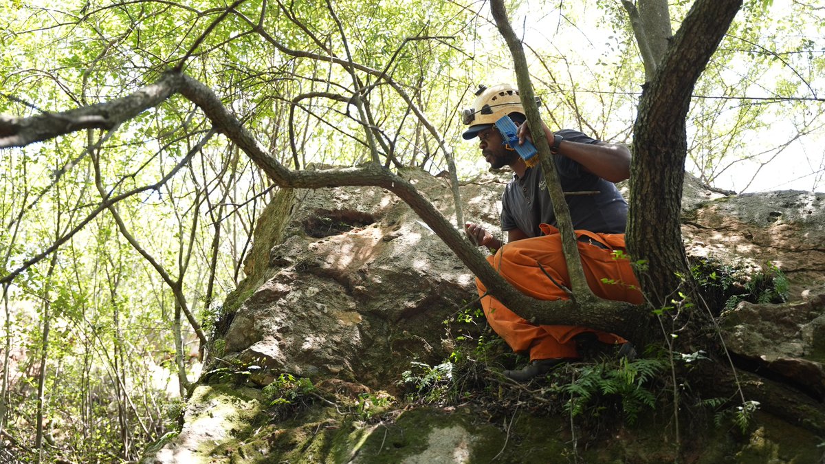 Explore_Naledi's tweet photo. Exploration Update!

We are happy to share that we have finished exploring the outside walls of the cave. Now, we are ready to explore inside the cave!

The exploration team has been eagerly waiting for this day with so much excitement and can't wait to see what we will discover. https://t.co/N7YQagDRWr