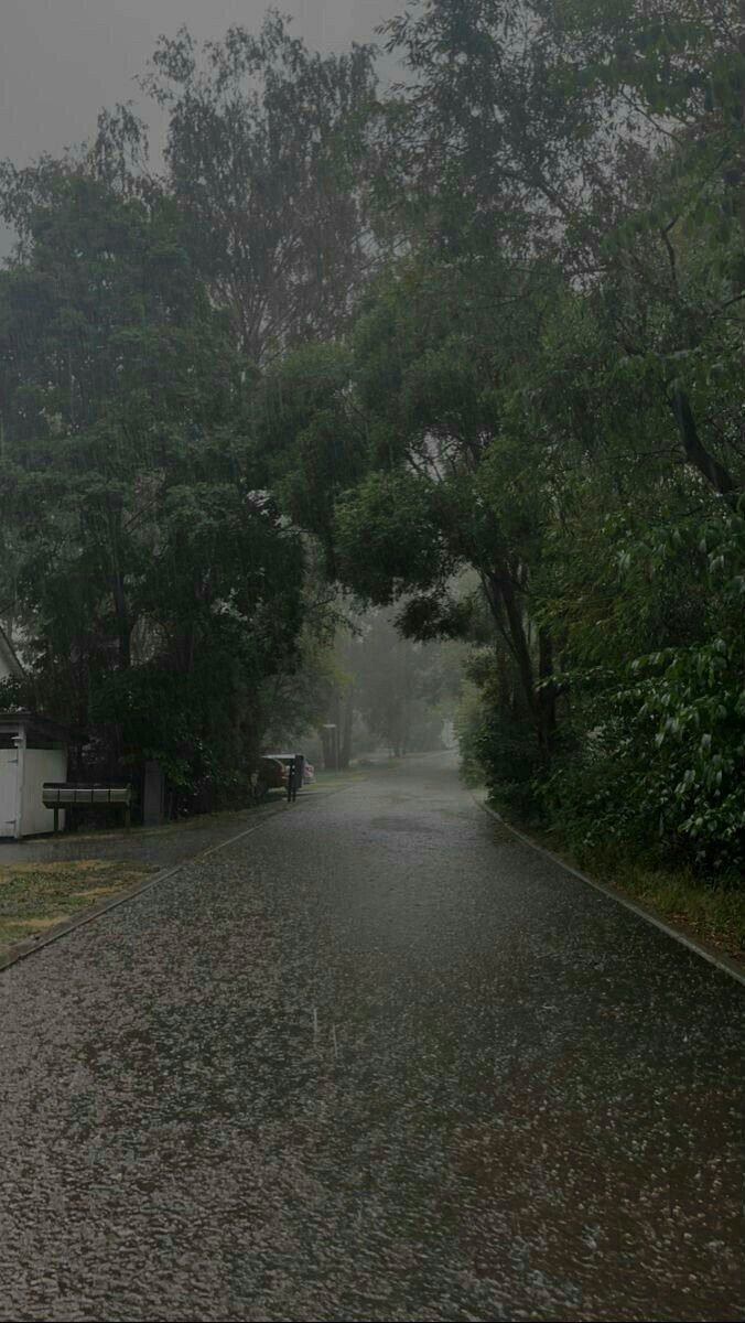 pluviophile.
