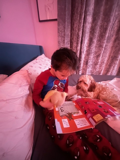 InfantSandwich's tweet photo. Squirrels welcomed their reading bears, Fluffy and Miro into their class on Friday. Fluffy went home with Sonny and Miro went home with Joshua and they enjoyed their hot chocolate and stories! #KS1 #loveofreading #storytime #readingbears https://t.co/e7Fx2AcNr1