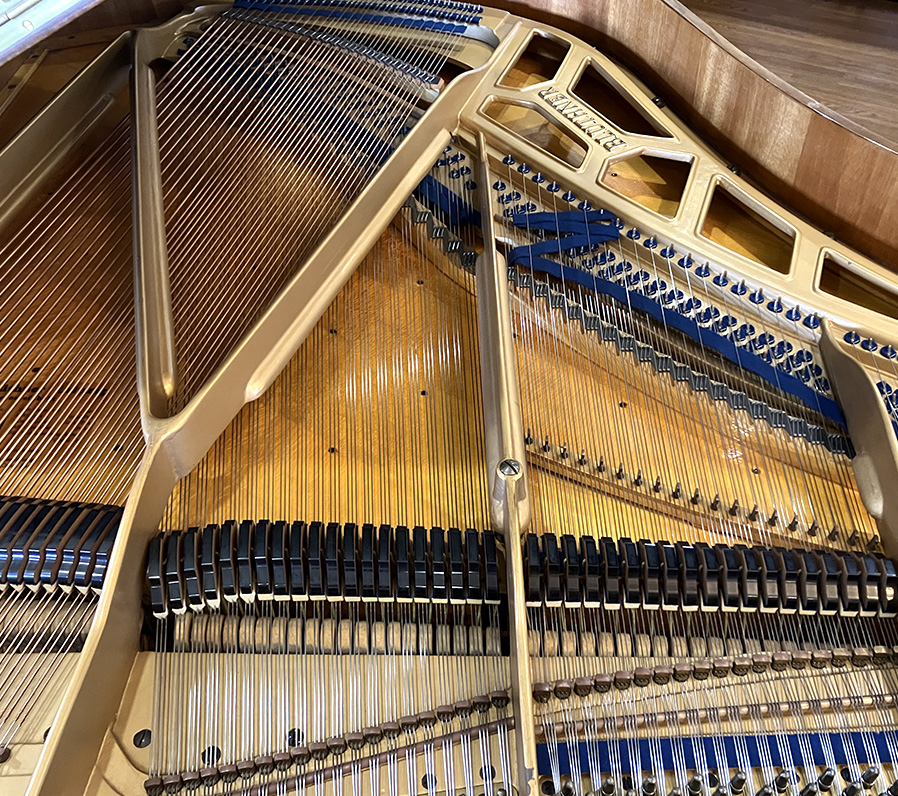 importedpiano's tweet image. 今日のピックアップピアノは

ドイツの名器ブリュートナーの
グランドピアノ。

【新入荷商品】
「ブリュートナー10」です。

詳しくは
imported-piano.jp/bluthner/bluth…

#ブリュートナー #ブリュートナーピアノ #bluthner #ヨーロッパピアノ #輸入ピアノ #輸入ピアノジャパン #piano #importedpiano #ピアノ…