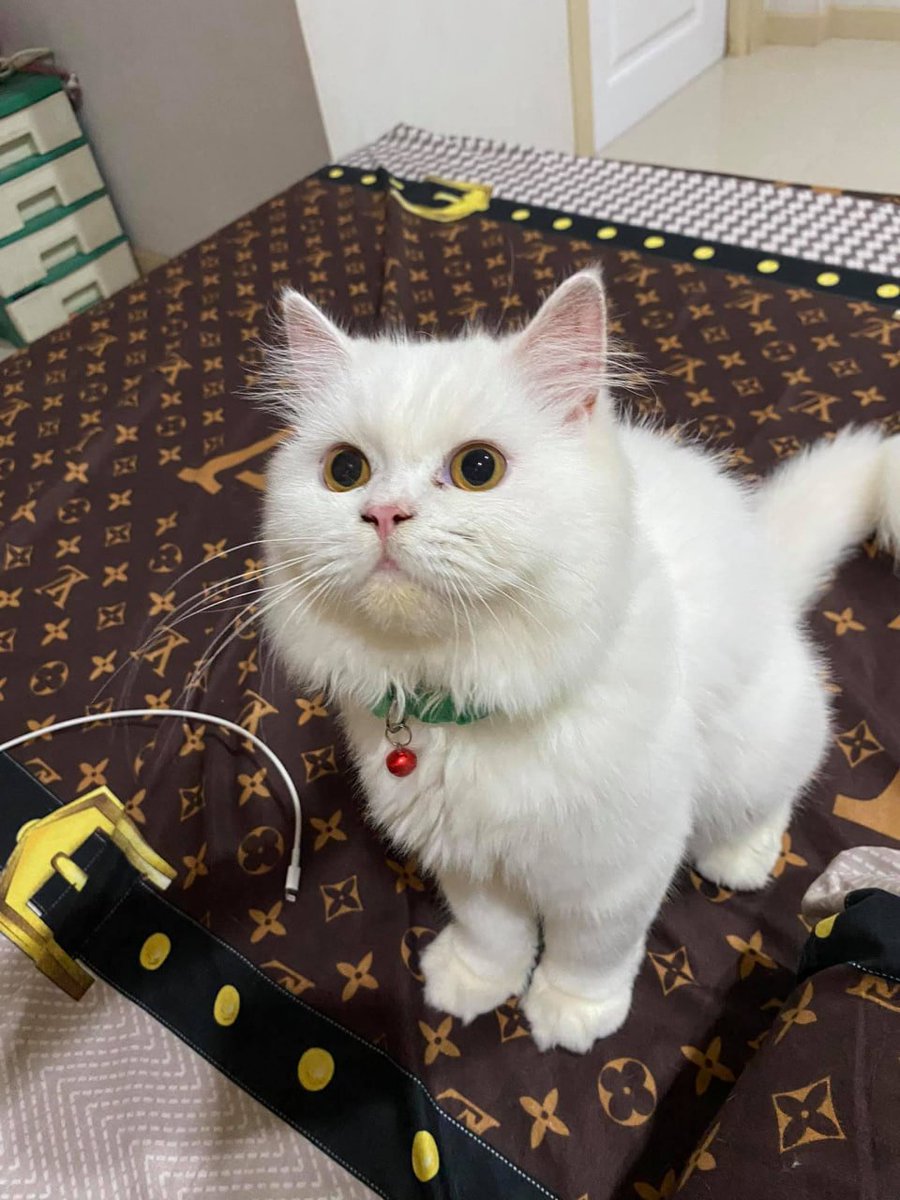 มีเพื่อนคนนึงที่อยู่ข้างๆ มาค่อยให้กำลังใจ ไข่ดาวลูกแม่