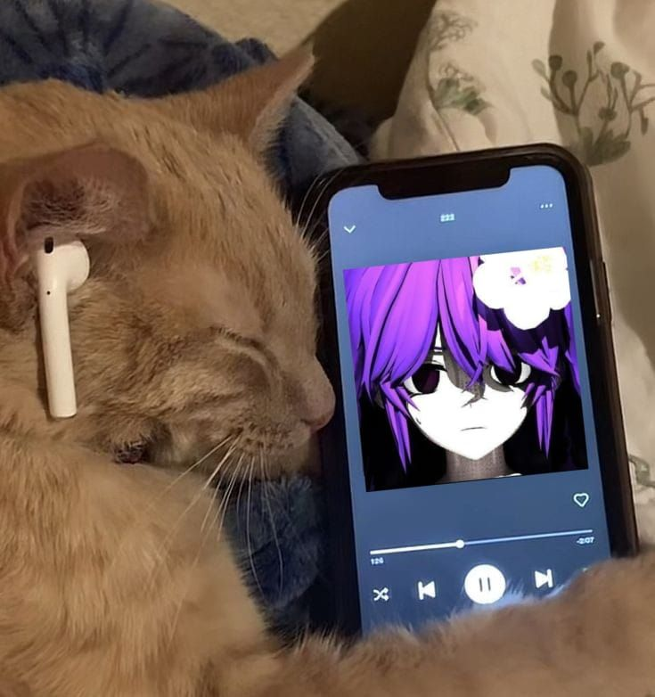 ReaL (@realzyyy) on Twitter photo 