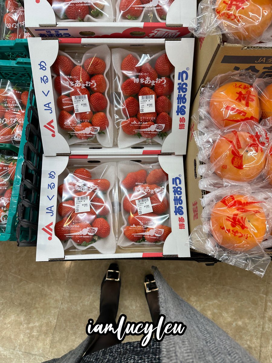 無錯我去左日本😽 不過答中無獎😹😹