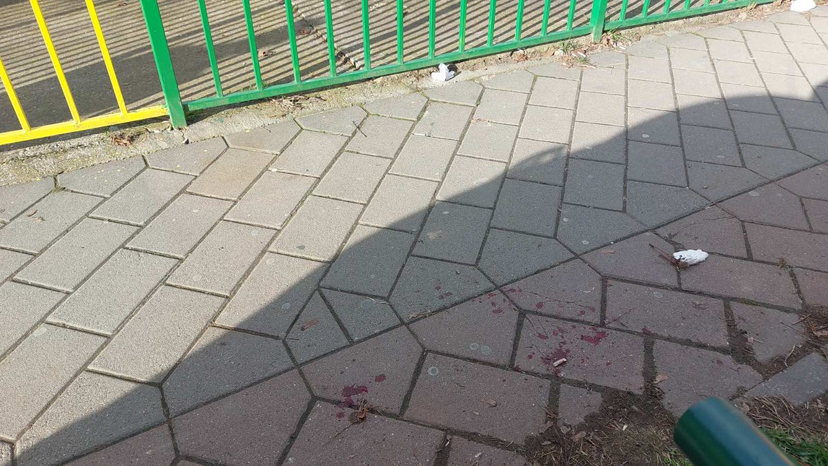 zarkobns's tweet photo. Krv studenata na ulicama #novisad https://t.co/DuWFfJ7Lx9