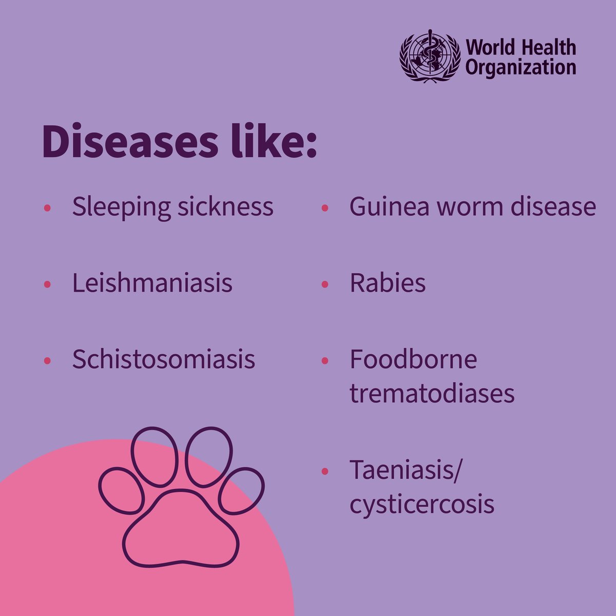 WHOWPRO's tweet photo. #DYK: Zoonotic neglected tropical diseases can be transmitted from animals to humans either directly or indirectly.

You can protect yourself and your loved ones by:
🐶Vaccinating pets against diseases like rabies
🐑Monitoring livestock and farm animals for diseases
🧹Controlling the environment
🍖Properly handling and cooking animal products like meat and fish

In the Western Pacific, 7 countries, including Cambodia, China, Lao People's Democratic Republic, Malaysia, Mongolia, Philippines and Viet Nam, are considered high risk for rabies.

Schistosomiasis is also endemic to China, two provinces in Cambodia, Philippines, and one province in Lao PDR.

#BeatNTDs
