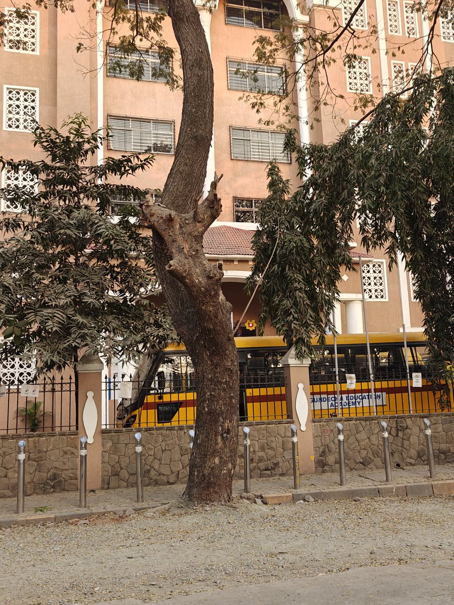 CaptPramod Chaudhary tweet media