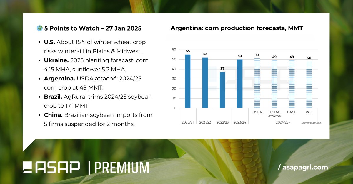 AtriaBrokers's tweet photo. 🌾🌱 Global grain&amp; oilseed market highlights you can’t miss!

🔍 Explore deeper insights, futures trends, and Black Sea prices in the ASAP Premium Reports 👉 https://t.co/vD5Yjh11uf

#ASAPAgri #ASAPPremium #AtriaBrokers #wheat #corn #soybean https://t.co/oBEV5Lc27X