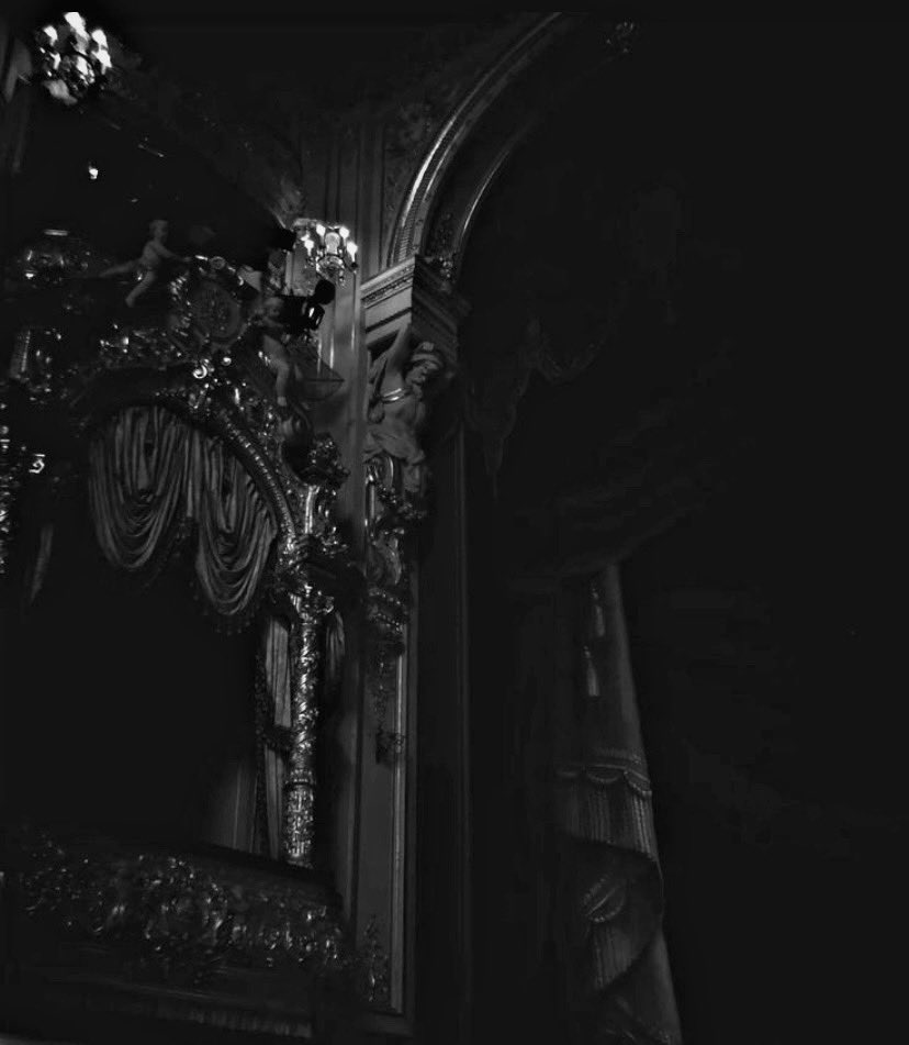 NocturnaLetalia's tweet photo. 𝐈𝐧 𝐓𝐡𝐞 𝐆𝐫𝐢𝐩 𝐎𝐟 𝕯𝖊𝖆𝖙𝖍 -𝑰𝑰

Months had passed and the hunger had evolved into something different.
At first it had been a gnawing relentless craving like a beast demanding to be fed. Now, it was a hollow, yawning abyss inside me. A void that— https://t.co/3fIkEONh9Z