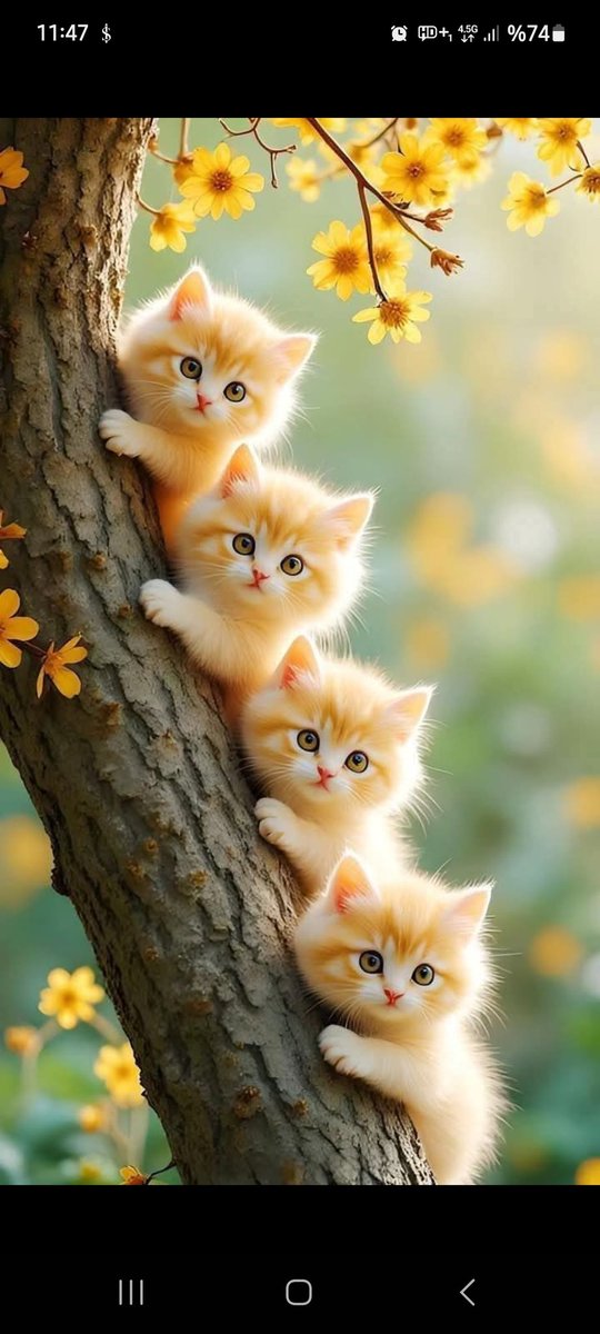 En güzel bakışlar 🌱