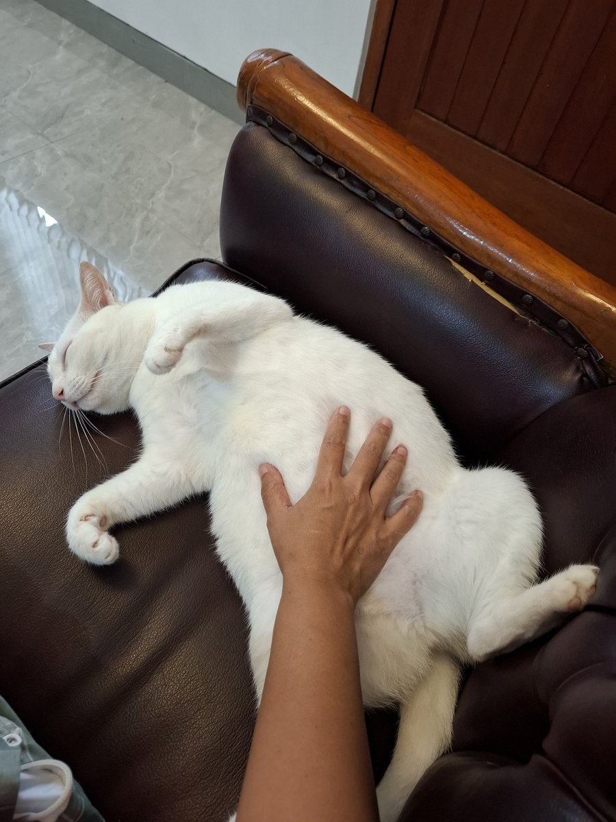 issmaway's tweet photo. Kalo libur ya babysitting https://t.co/5T8vqeQrG0