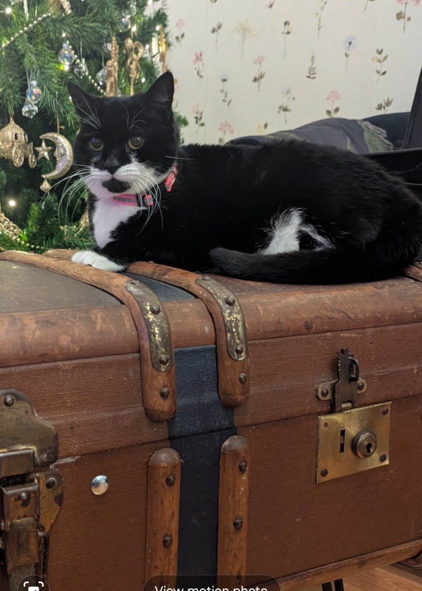 Suitcasetrains tweet media