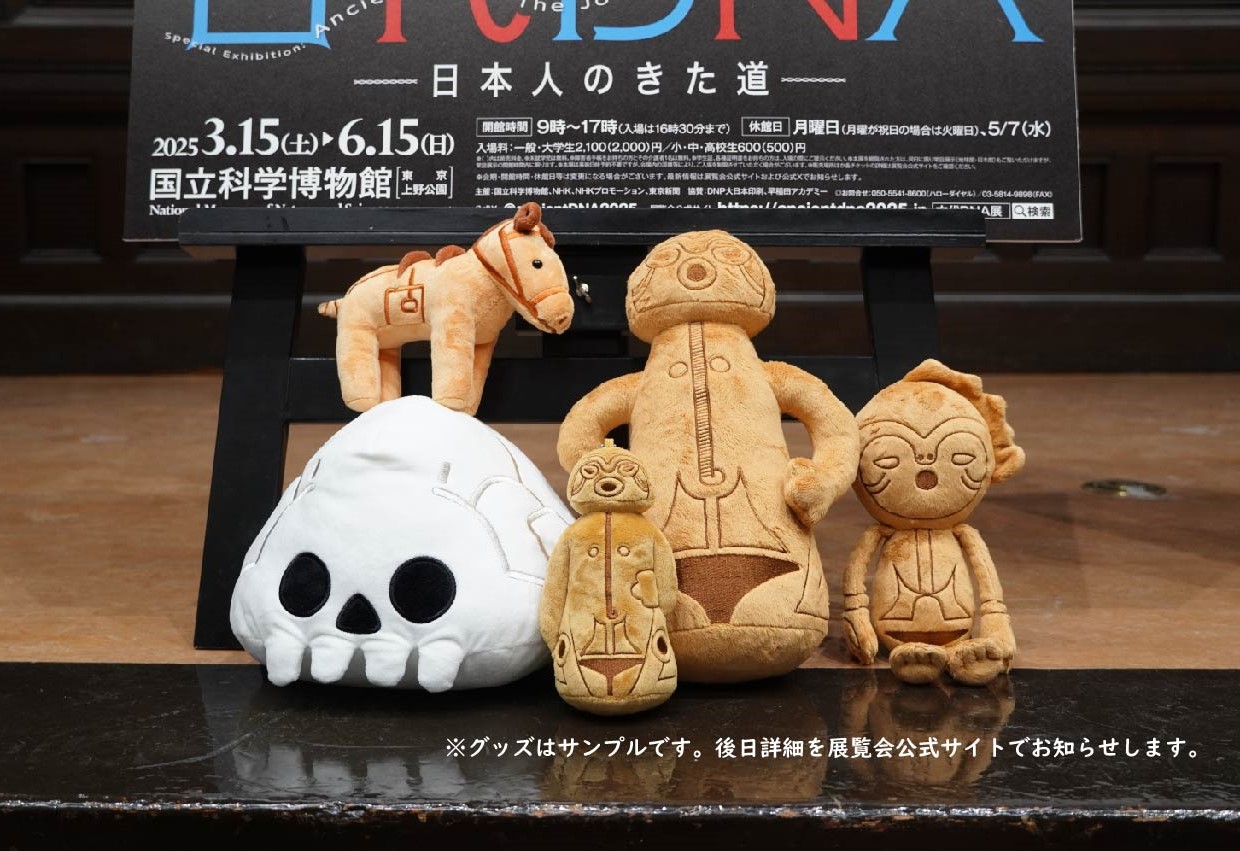 特別展「古代DNA―日本人のきた道―」（国立科学博物館 東京/上野
