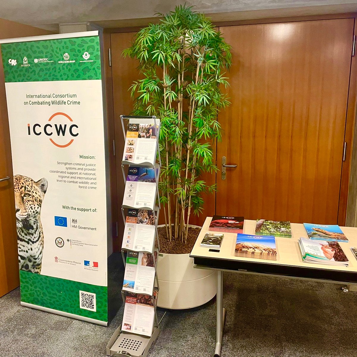 Are you are attending the briefing on the upcoming <a href="/CITES/">CITES</a> #SC78 in Geneva? 📢

Come by and take a look at the #ICCWC resources and materials!

To watch the briefing online, register here ➡️bit.ly/4hcN99d

📅Jan 28 2025
⏲️10:00-12:00 CET

#TogetherAgainstWildlifeCrime