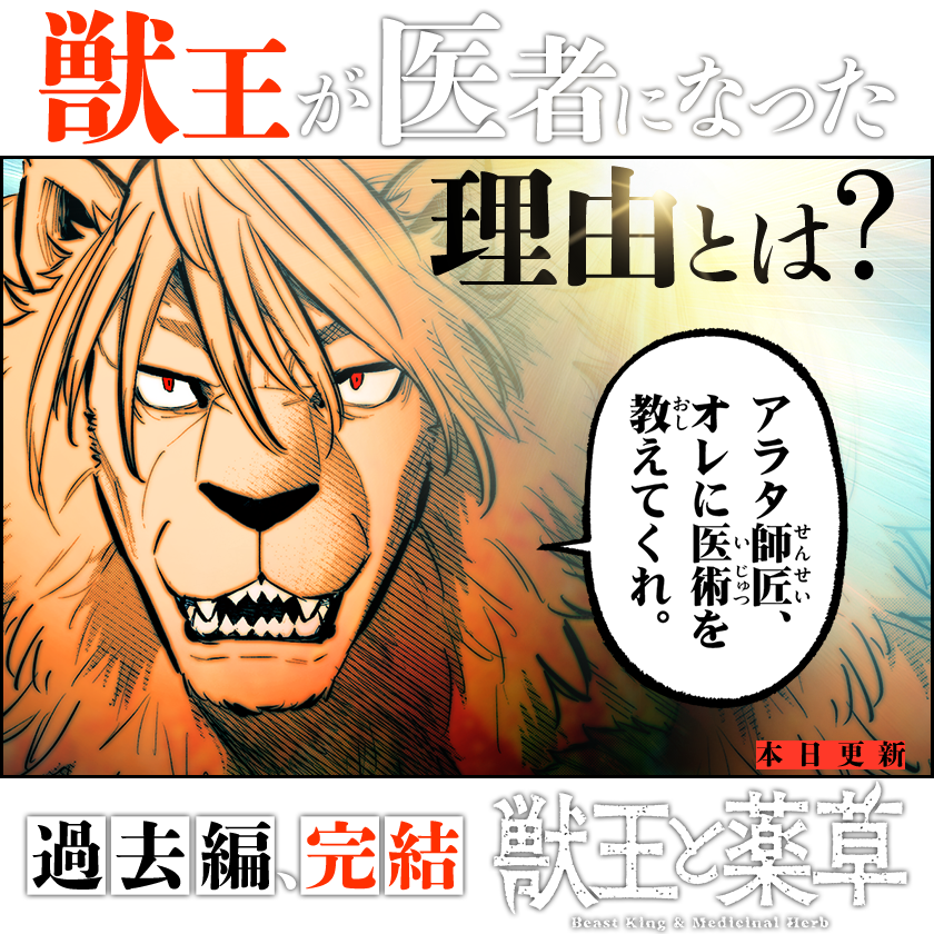 /
本日更新⭐️
『#獣王と薬草』
\

獣王が、医者になった理由。
そこには彼を懸命に支えた
ひとりの女性の存在があった。

さっそく読む👀
↓↓↓
https://t.co/Oub84DdHVB

#マンガワン 