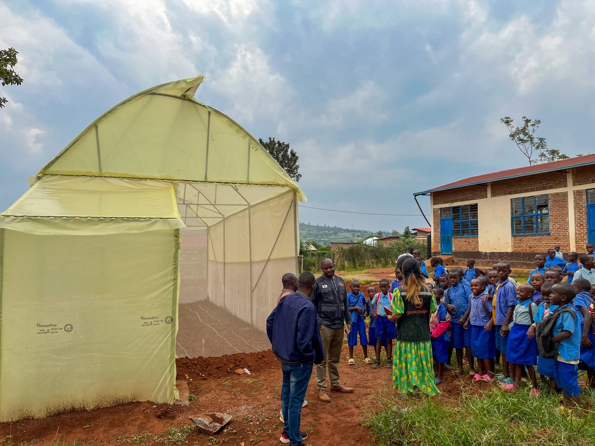 NjengaGreens's tweet image. Milestone achieved! We&apos;ve installed metallic greenhouses in 4 primary schools in Bugesera, partnering with Good People International to improve student nutrition. Fresh, high-quality vegetables grown right on school grounds. #RwandaDevelopment #SchoolNutrition #GreenhouseFarming.