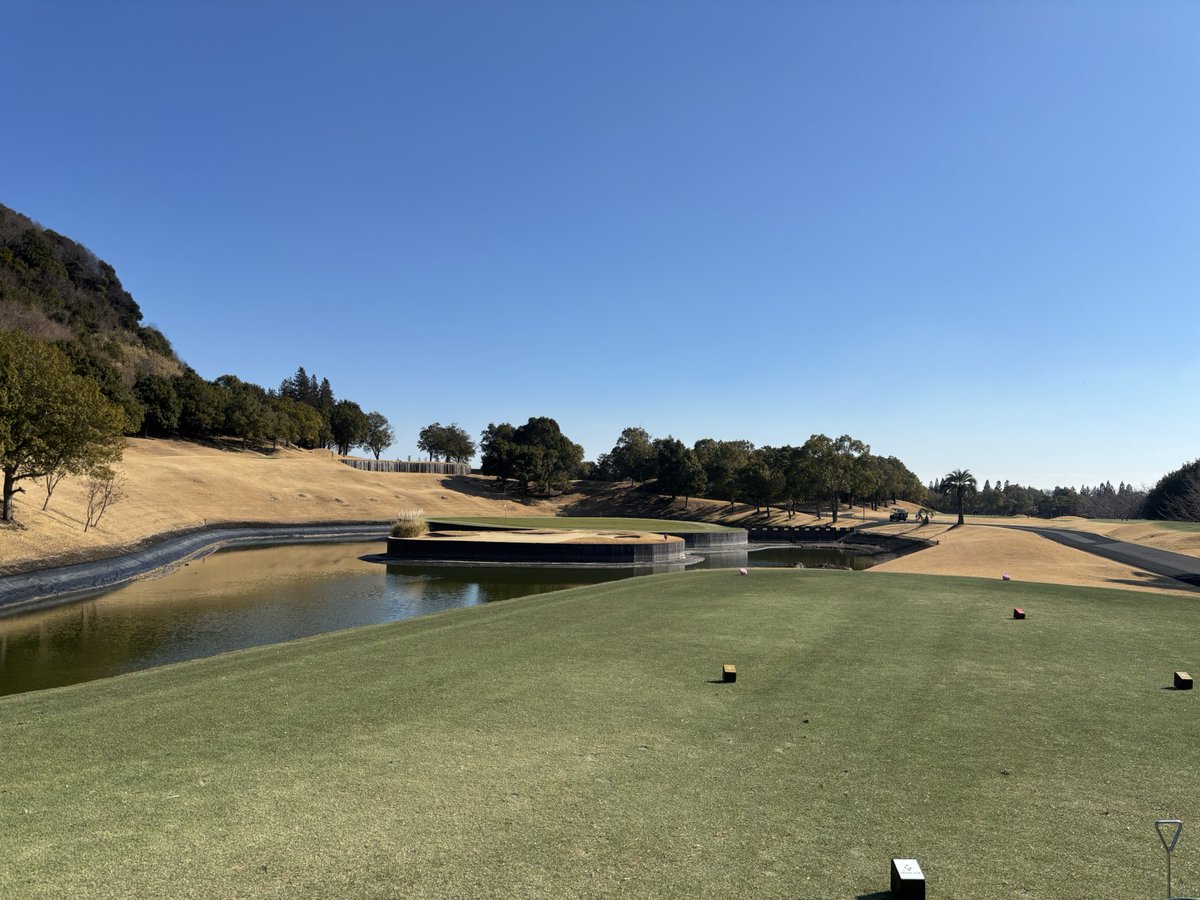ebi_golf's tweet photo. 今日は風もなく暖かくて、スコア以外は最高のコンディションでした😂
浮島でパーを取れたのが唯一の救い⛳️
#セゴビアGC https://t.co/gWYMS3w1bM