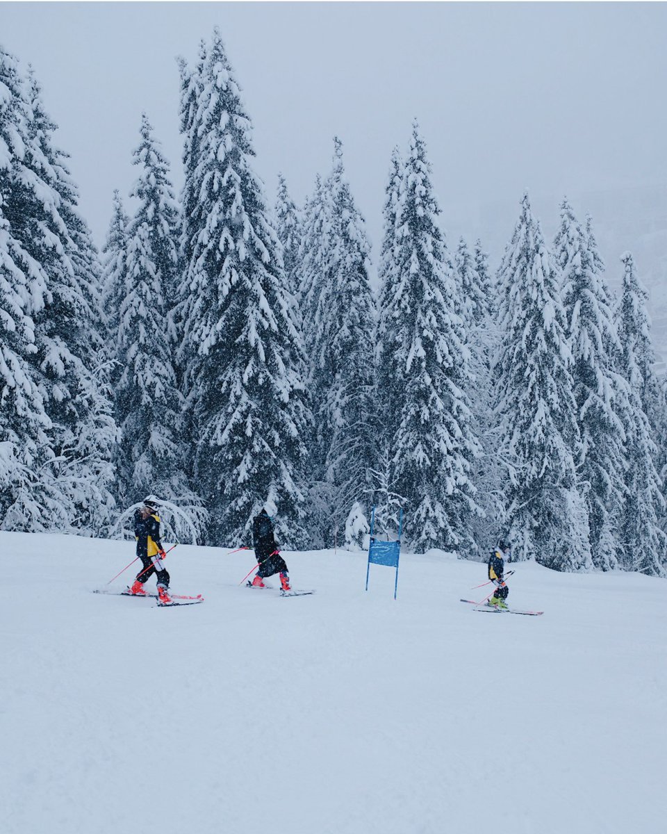 A very snowy inspection of the GS course is now complete. Racing will begin at 10:55! #BSR2025 🎿